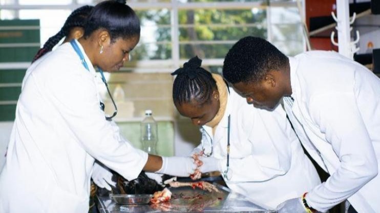 Kusajili Madaktari wa Wanyama, Madaktari wa Wanyama Wabobezi na Vituo vya Huduma za Afya ya Wanyama